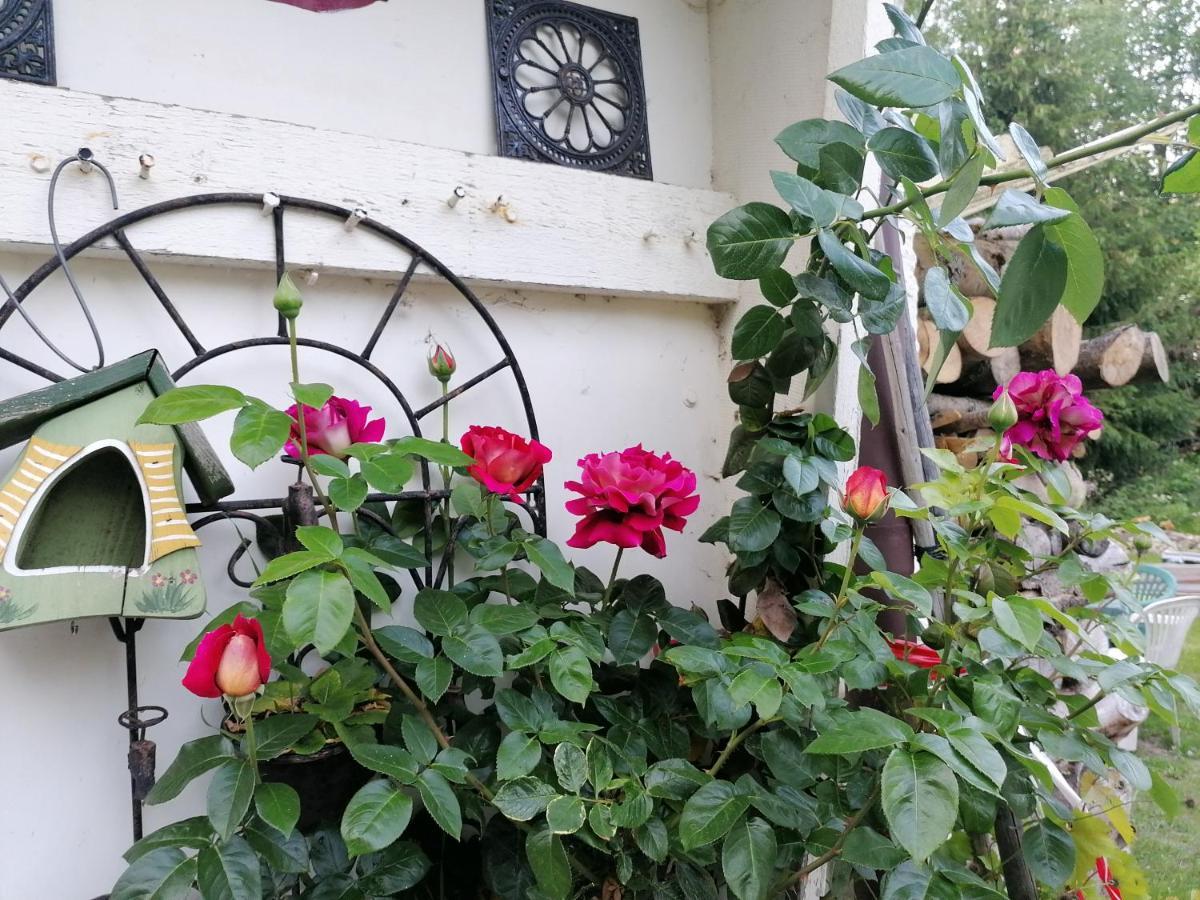 Villa Viriditas Elbingerode  Bagian luar foto
