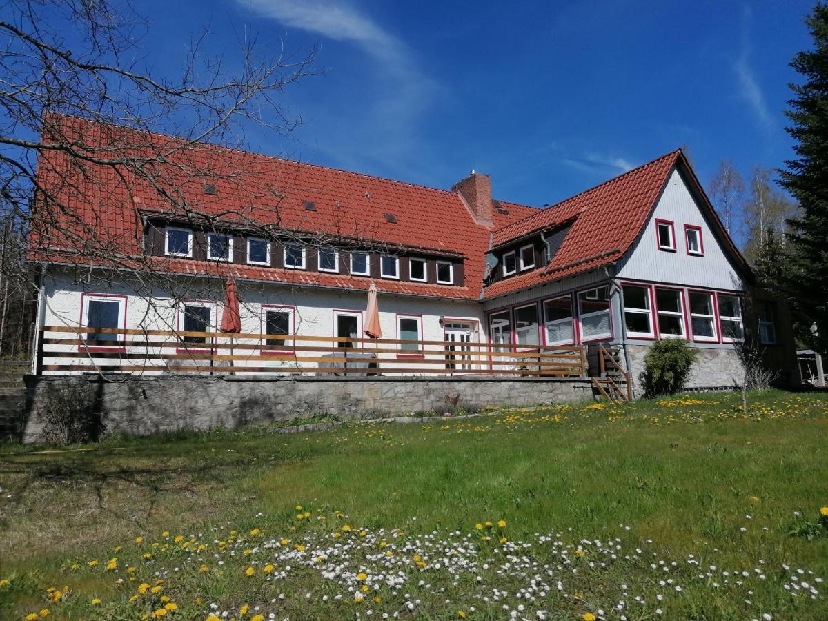 Villa Viriditas Elbingerode  Bagian luar foto